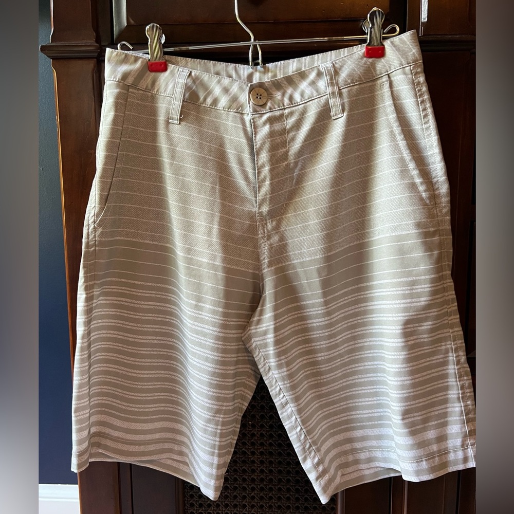 LOST Enterprises Board Shorts